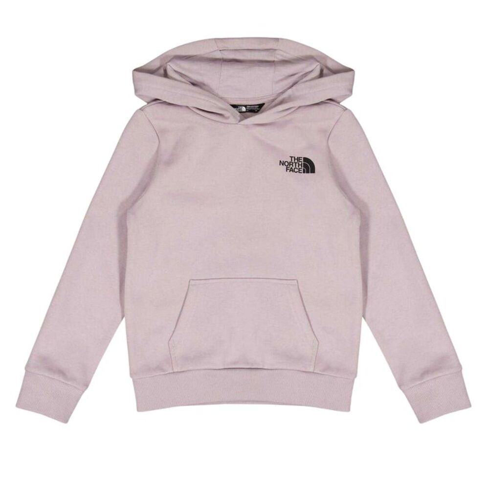 The North Face Childrens/Kids Dome Logo Cotton Blend Hoodie / Gray